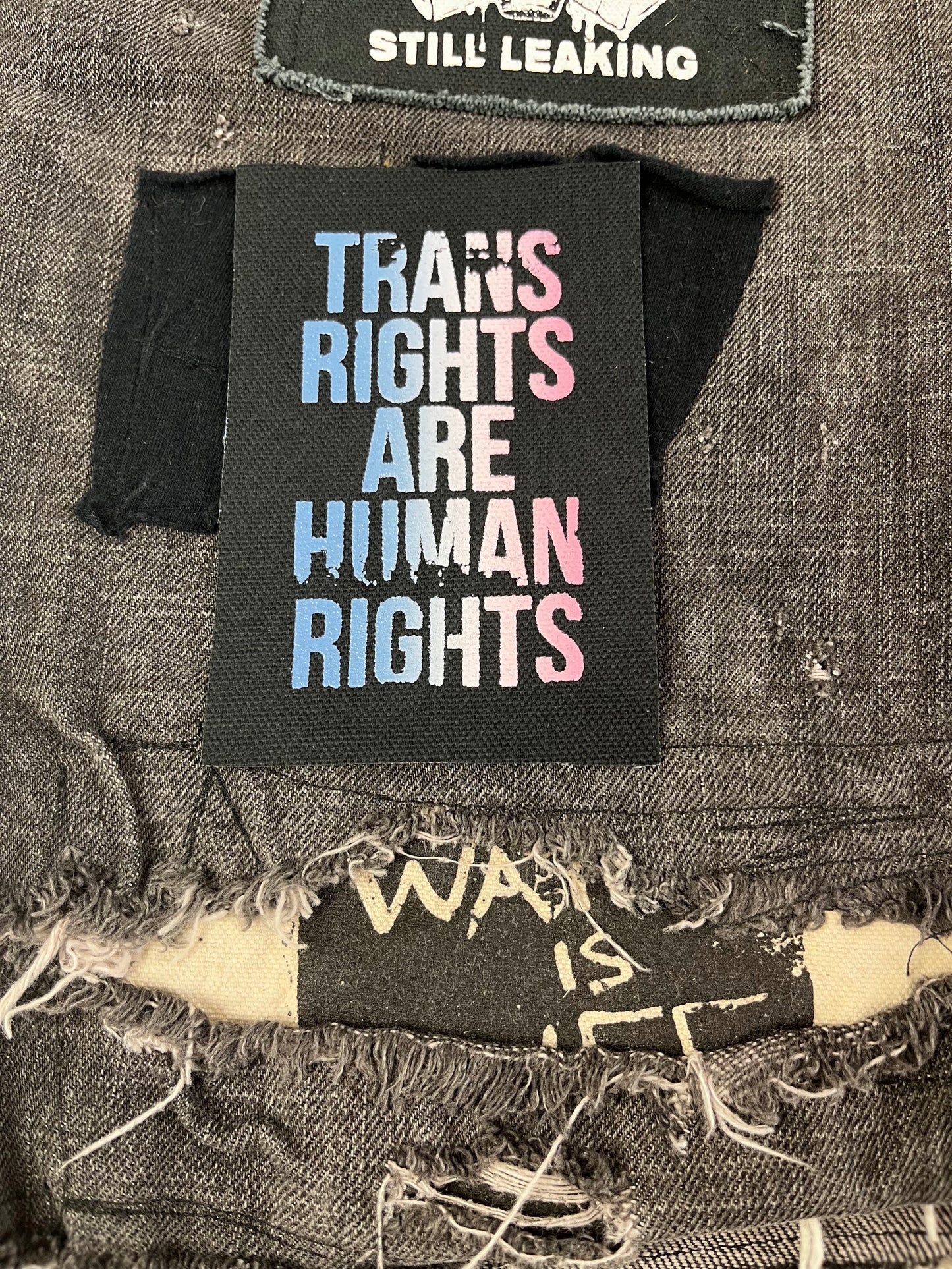 Trans Rights / Human Rights