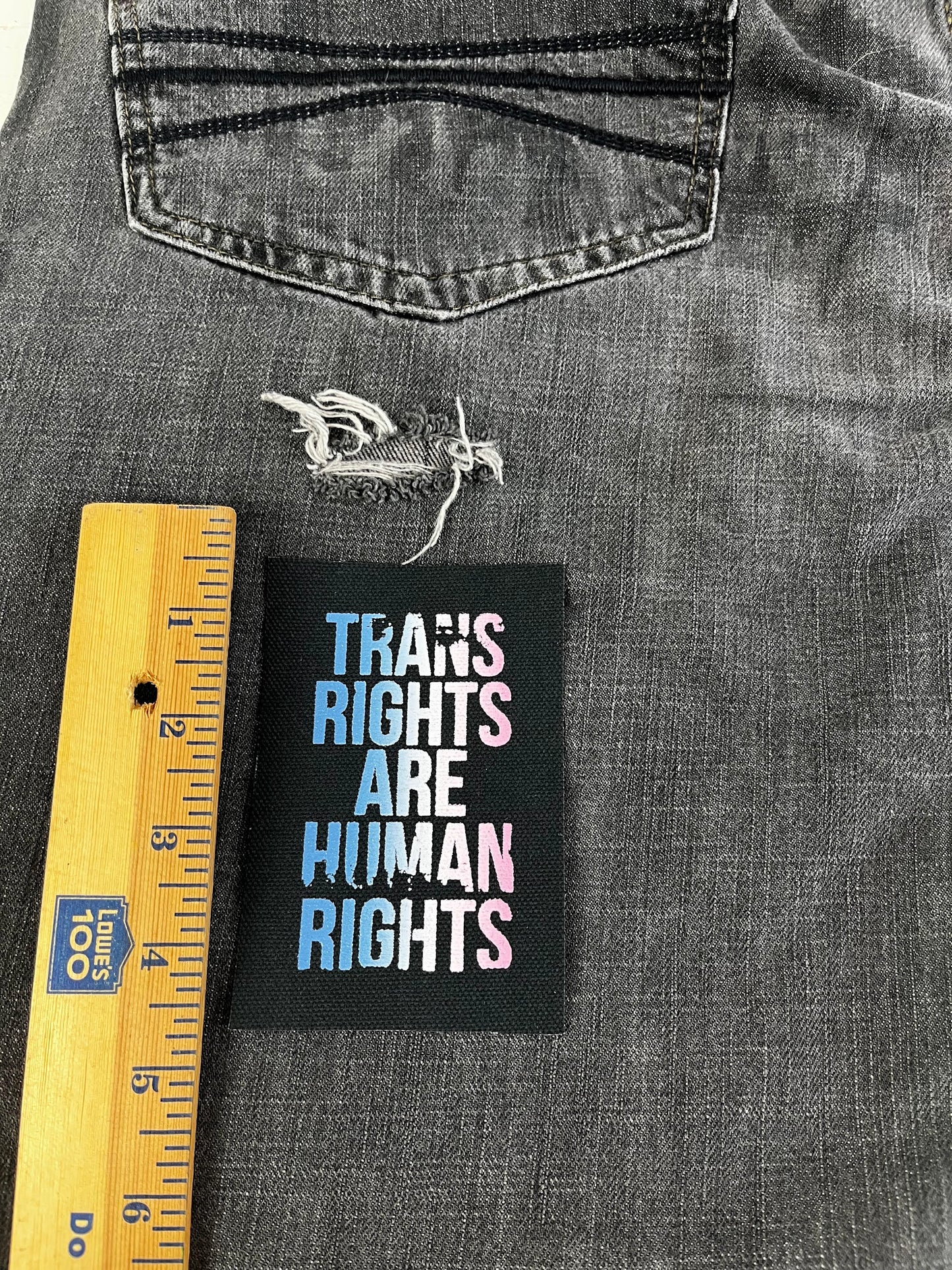 Trans Rights / Human Rights